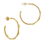 Preview: Earring made from brass, goldplated